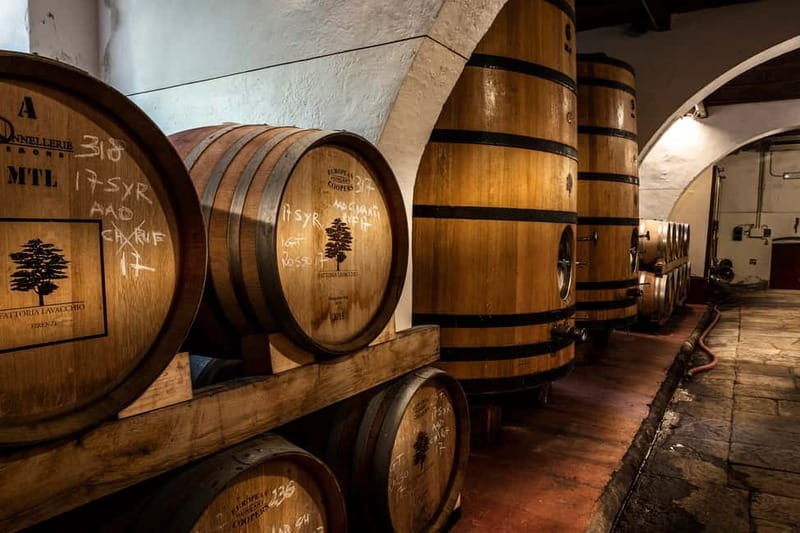 From Florence: Horse Ride and Wine Tour at Estate with Lunch - The 1.5-hour trail through vineyards and olive groves