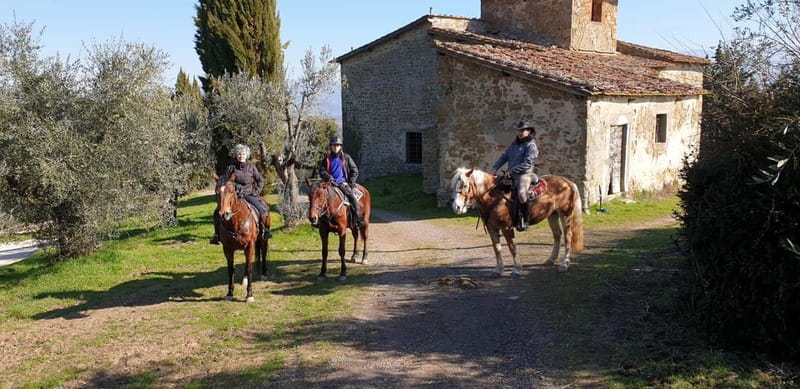 From Florence: Horse Ride and Wine Tour at Estate with Lunch - What the $377 price really covers