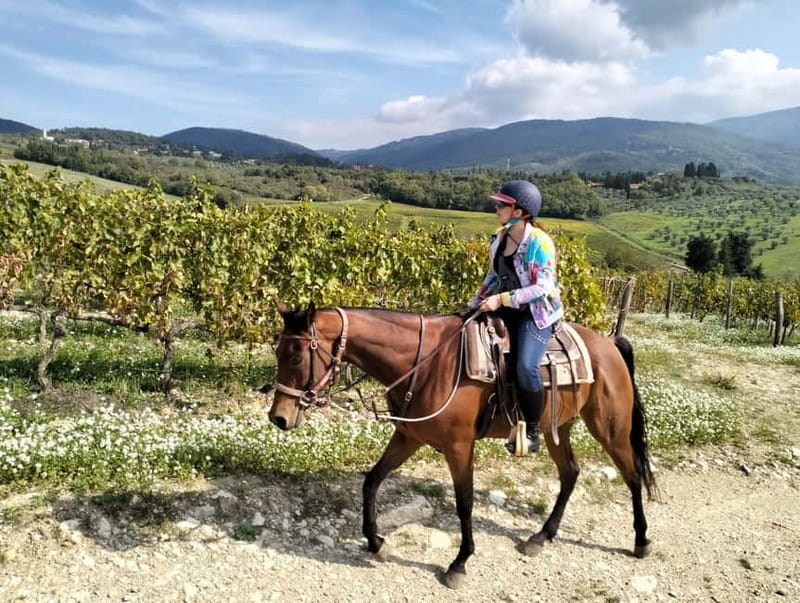 From Florence: Horse Ride and Wine Tour at Estate with Lunch - A quiet horse and a short lesson before the trail