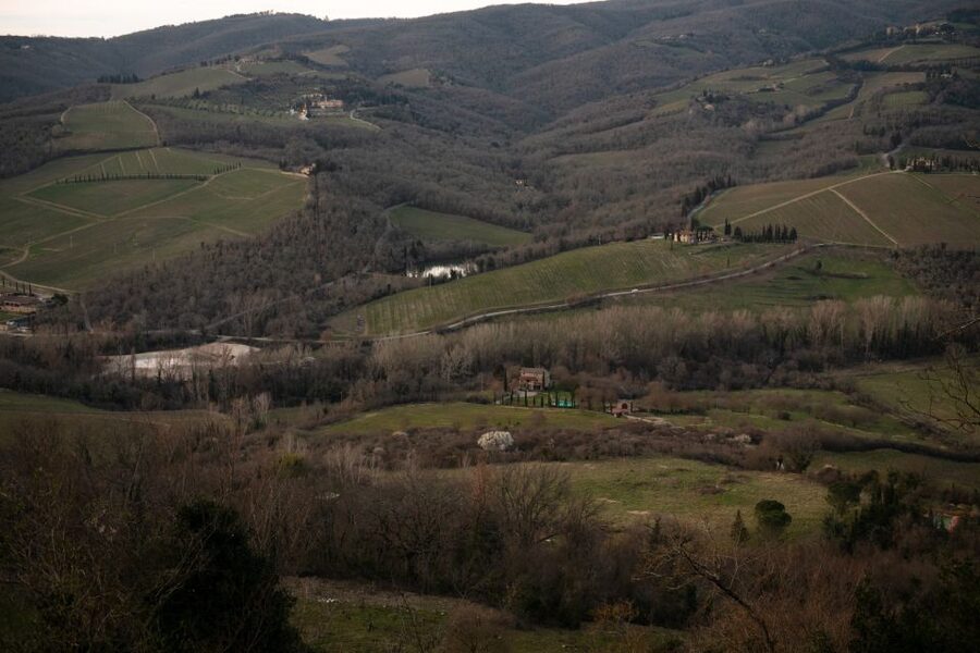 From Florence: Private Chianti Hills Tour with Tasting - The first wine stop and the taste of rural Tuscany