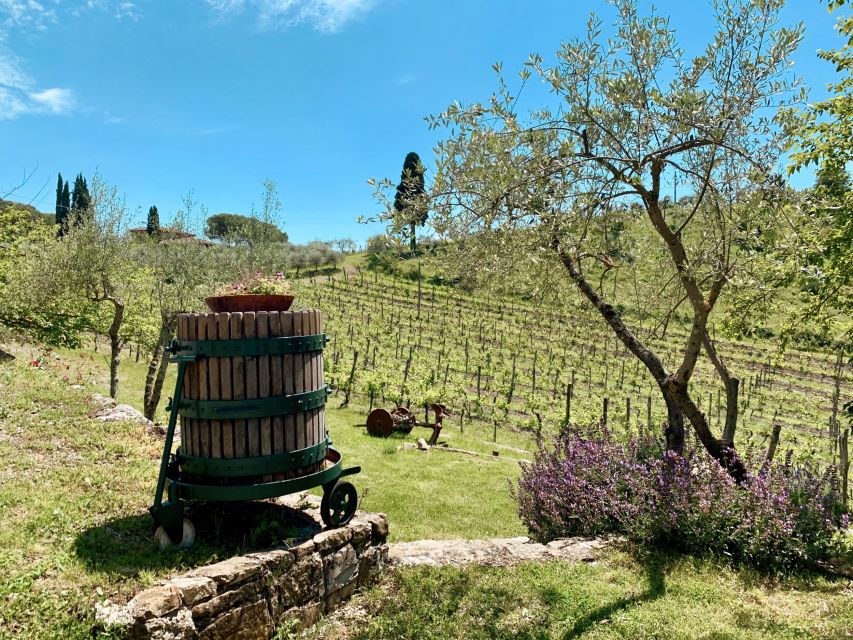From Florence: Private Chianti Hills Tour with Tasting - What the price means for your trip