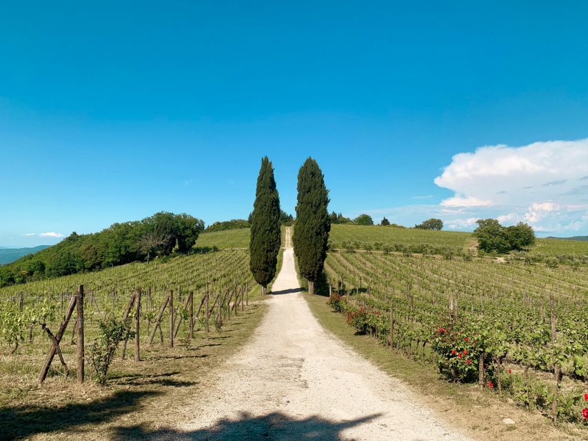 From Florence: Private Chianti Hills Tour with Tasting - Who should choose this Chianti outing