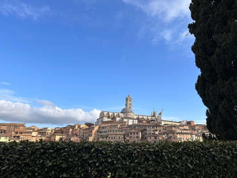 From Florence: San Gimignano, Siena, and Chianti Wine Tour - The Chianti estate and the five-wine tasting
