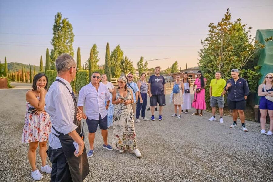 From Florence: Siena and Chianti Wine Tour with Dinner - Is the $105 price fair?