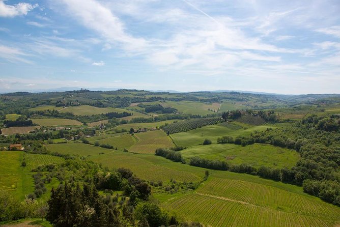 From Florence: Small-Group Tuscany Wine & Oil Tour with typical Tuscan Meal - A short break in Greve in Chianti