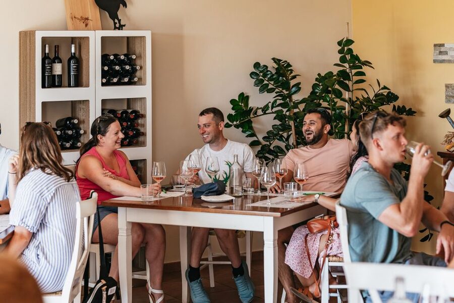 From Florence: Small Group Wine Tasting Tour to Tuscany - First estate: three wines and fresh olive oil