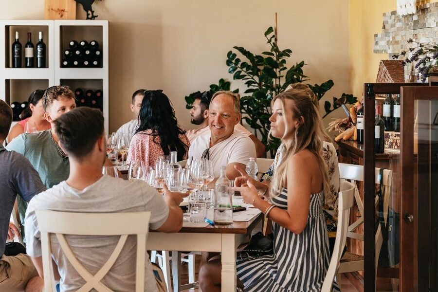 From Florence: Small Group Wine Tasting Tour to Tuscany - The minibus, comfort, and practical concerns