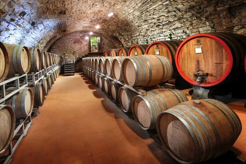 From Florence: Tuscany Wine & Food Tour with Guide - First winery: start with how Chianti is made