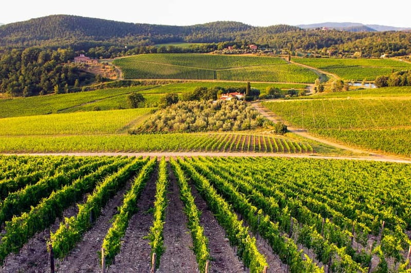 From Florence: Tuscany Wine & Food Tour with Guide - What the guide and driver add