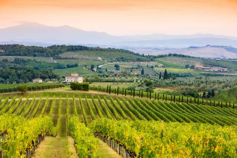 From Florence: Tuscany Wine & Food Tour with Guide - Transportation, group size, and pace