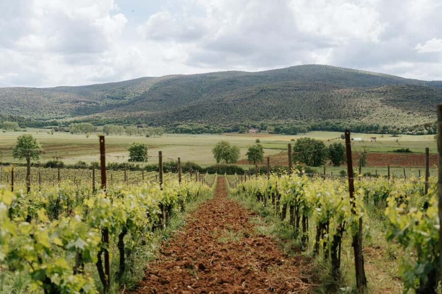 From Florence: Ultimate Tuscany Day Trip with Wine & Lunch - Key points at a glance
