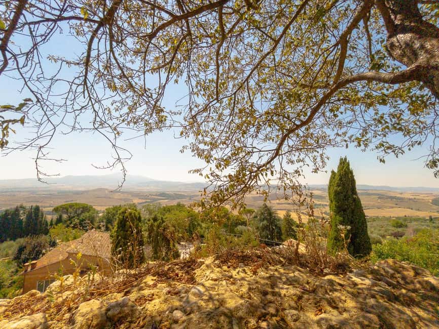 From Florence: Val D'Orcia Tour with Wine Tasting - Pienza, Pecorino, and the best views