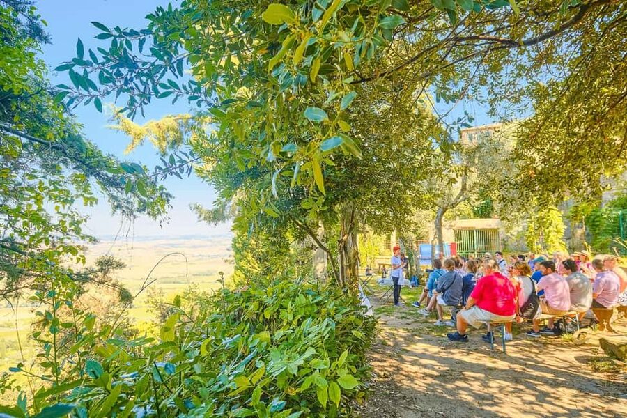 From Florence: Val D'Orcia Tour with Wine Tasting - Who gets the best value at $108