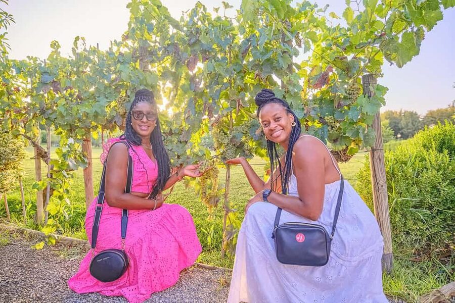 From Florence: Wine Tasting and Dinner in Chianti Vineyards - Dinner at the second estate
