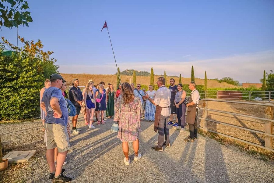 From Florence: Wine Tasting and Dinner in Chianti Vineyards - Who should book this Chianti outing?