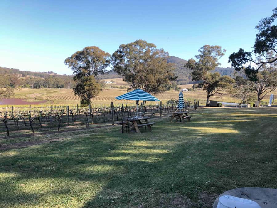 From Haymarket: Hunter Valley Wine and Wildlife Day Trip - Who will get the most from this tour