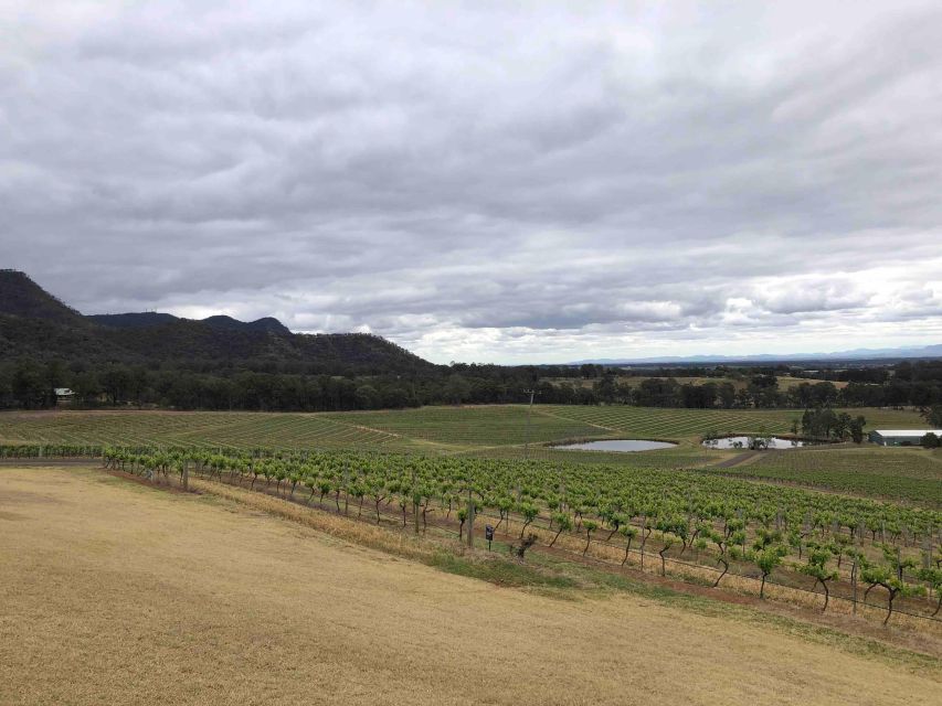 From Haymarket: Hunter Valley Wine and Wildlife Day Trip - Two boutique vineyards chosen for your group