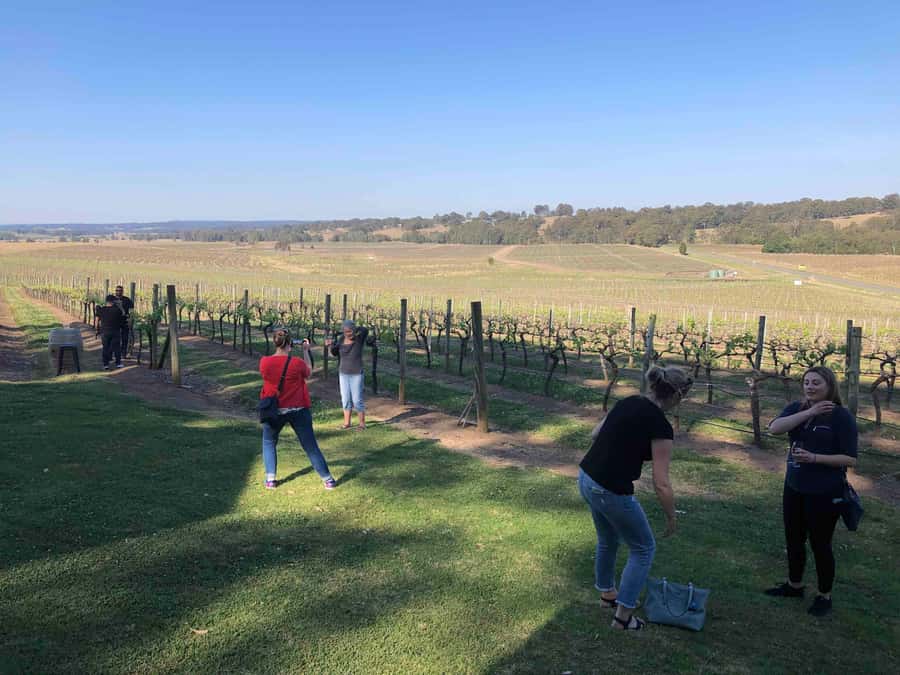 From Haymarket: Hunter Valley Wine and Wildlife Day Trip - What the $88 price really means