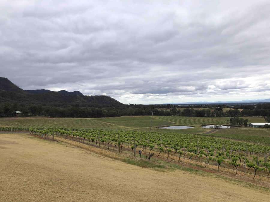From Haymarket: Hunter Valley Wine and Wildlife Day Trip - A long day made easier by good transport