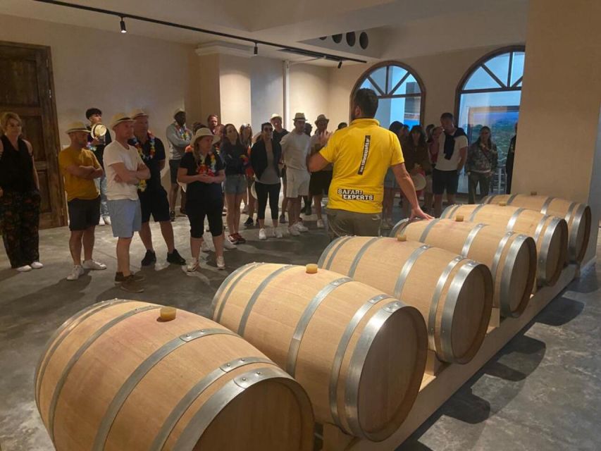From Heraklion: Matala Beach - Caves & winery Full Day tour - Who should book this South Crete day?