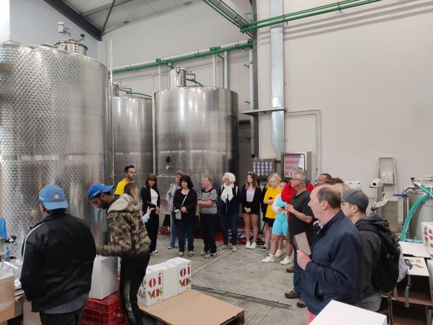 From Heraklion: Matala Beach - Caves & winery Full Day tour - Transport, languages, and pickup details