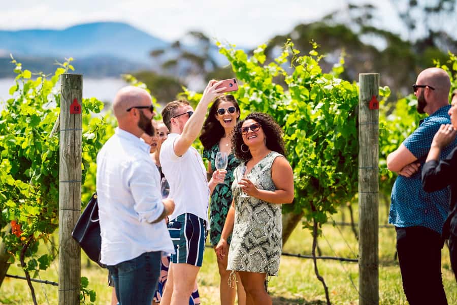From Hobart: Tasmanian Wine Tour - Why this wine day works from Hobart