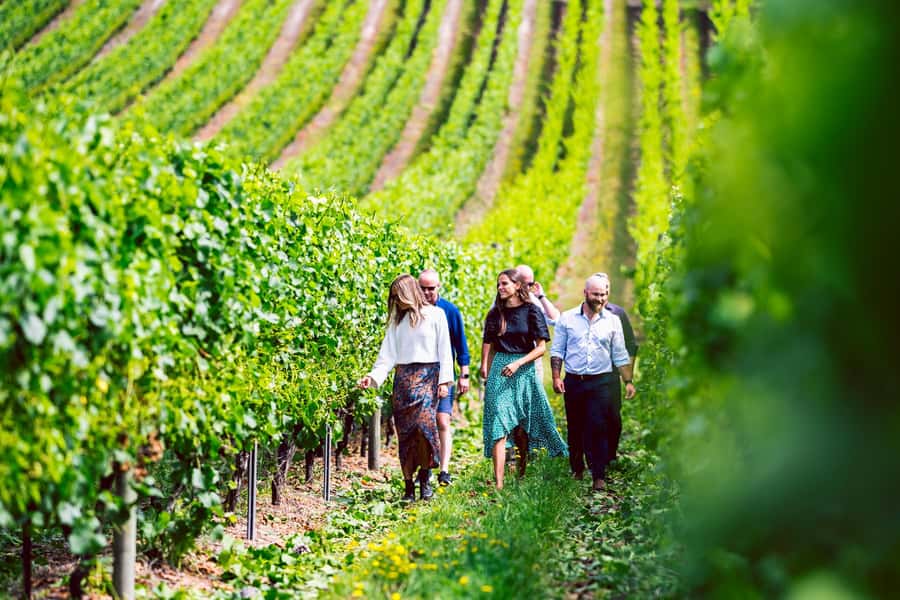 From Hobart: Tasmanian Wine Tour - From boutique estates to established cellar doors