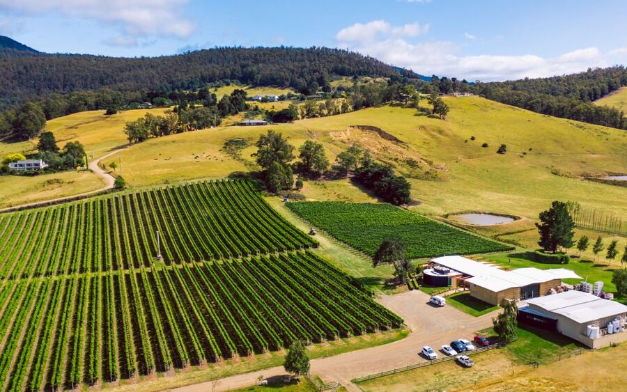 From Hobart: Tasmanian Wine Tour - The Tasmanian cheese plate