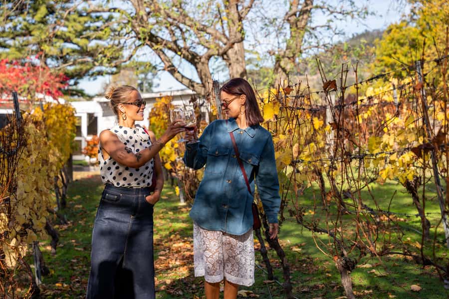 From Hobart: Tasmanian Wine Tour - Four wineries, with a route that changes