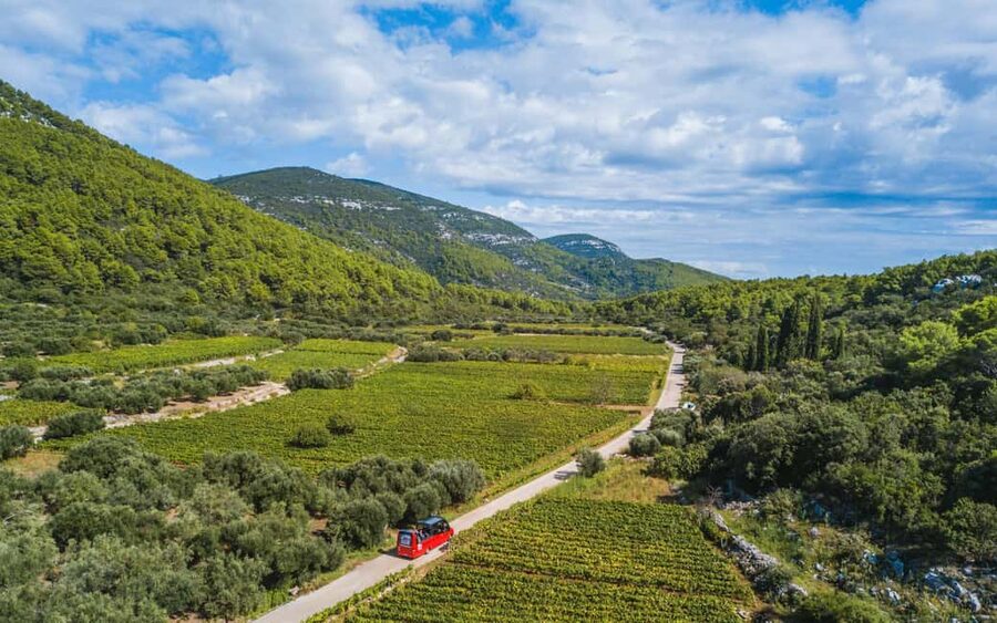 From Korcula Town: Local Wine & Sightseeing Half-Day Tour - Why this Korcula tour works beyond the wine