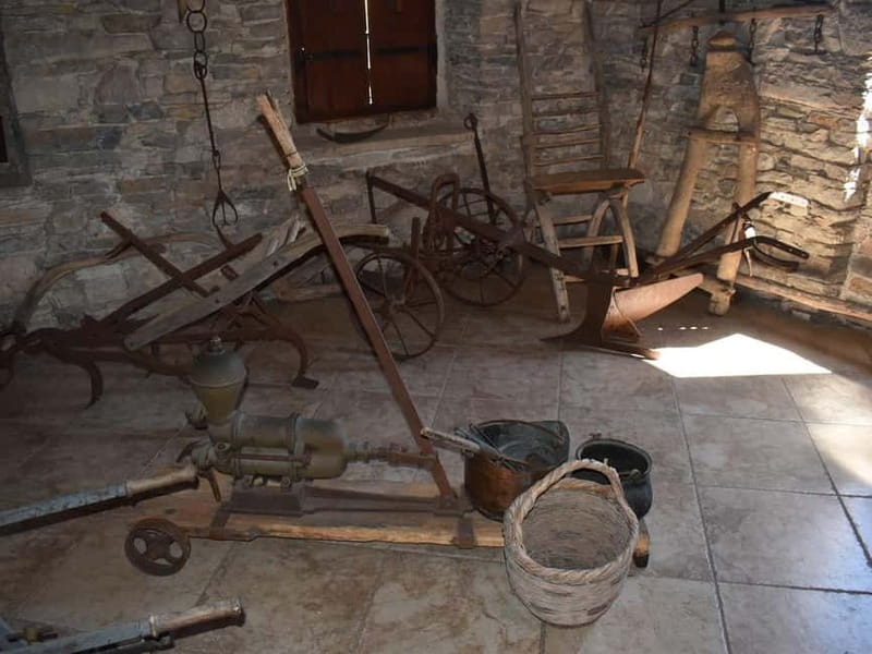 From Korcula Town: Local Wine & Sightseeing Half-Day Tour - Who should book this half-day outing?