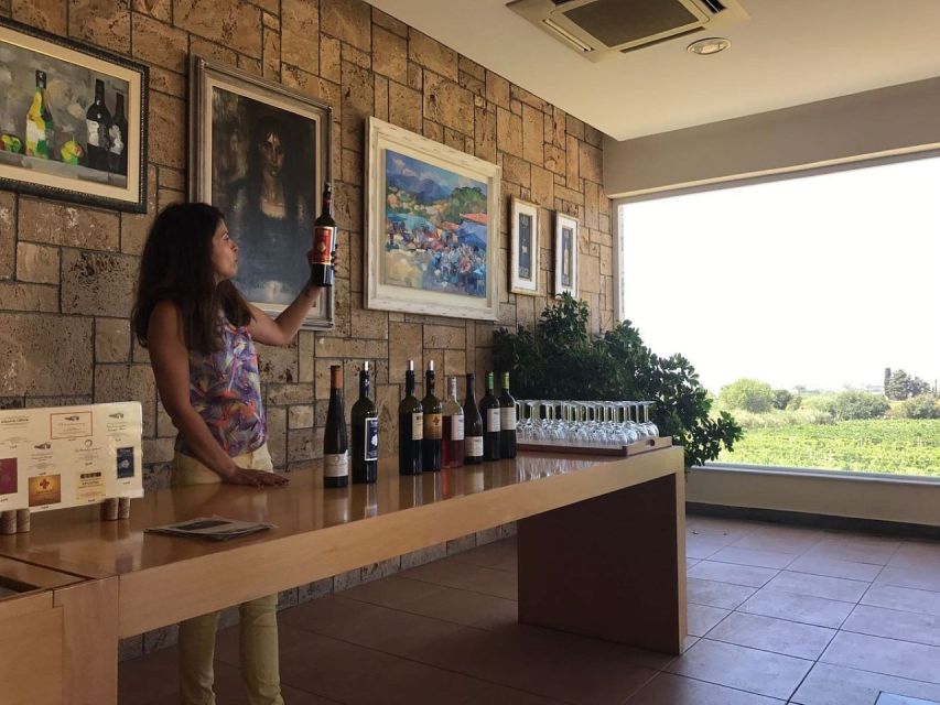 From Kos: Tour of 2 Wineries with Wine Tasting & Small Bites - Final verdict: a good introduction to Kos wine