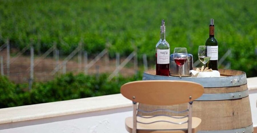 From Kos: Tour of 2 Wineries with Wine Tasting & Small Bites - Two wineries, two sides of Kos wine