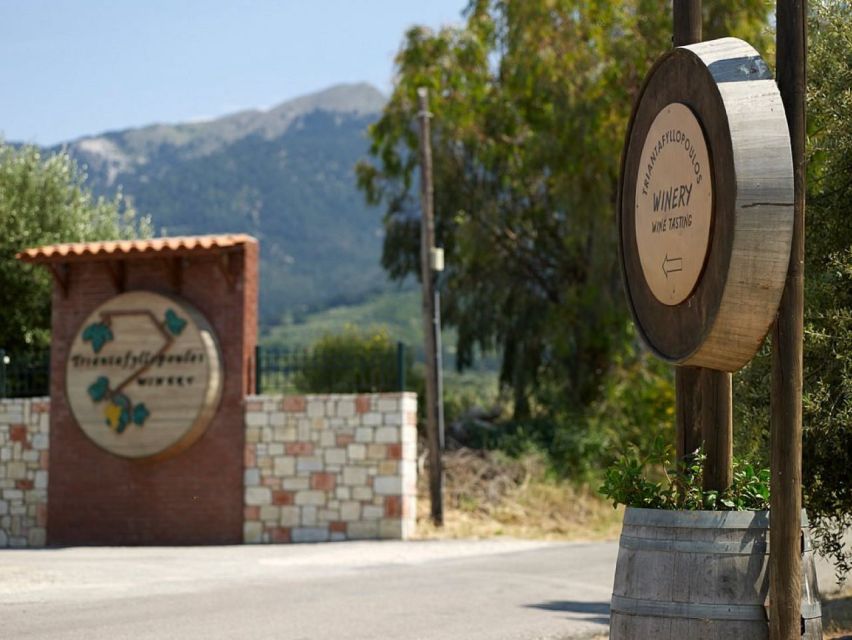 From Kos: Tour of 2 Wineries with Wine Tasting & Small Bites - Greek wines to expect in the glass