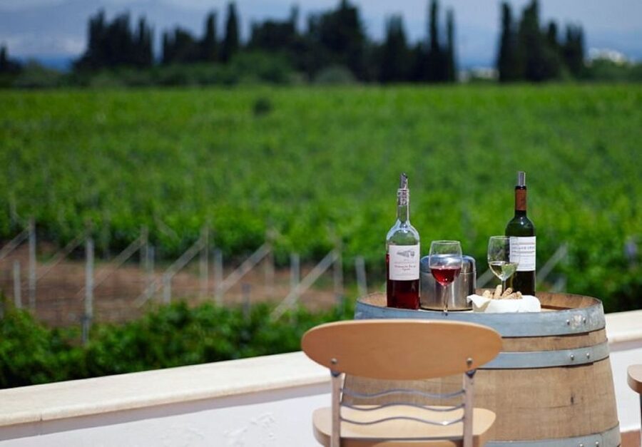 From Kos: Tour of 2 Wineries with Wine Tasting & Small Bites - Who should book this Kos winery tour?