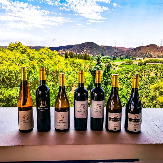 From Lagos: Small-Group 4-Hour Wine Tasting Tour - From Lagos to Silves in a small minivan