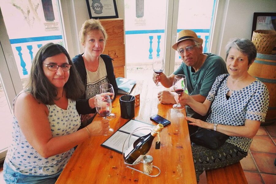 From Lagos: Small-Group 4-Hour Wine Tasting Tour - Should you book this Lagos wine tour?