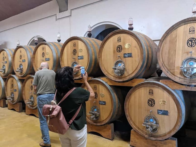 From Lake Garda: Valpolicella Wine & Lunch Guided Trip - Why Valpolicella makes a good day from Lake Garda