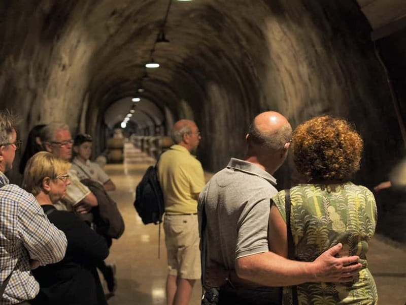 From Lake Garda: Valpolicella Wine & Lunch Guided Trip - The morning transfer from Lake Garda