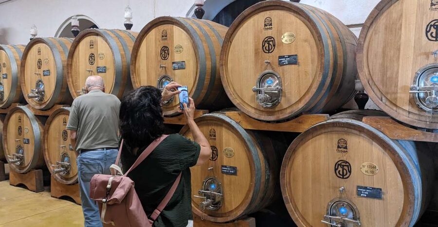 From Lake Garda: Valpolicella Wine & Lunch Guided Trip - The guide can shape the whole day