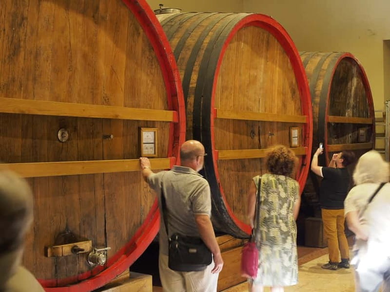 From Lake Garda: Valpolicella Wine & Lunch Guided Trip - What I would know before booking