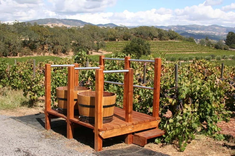 From Lake Garda: Valpolicella Wine & Lunch Guided Trip - Inside the Valpolicella wine cellar
