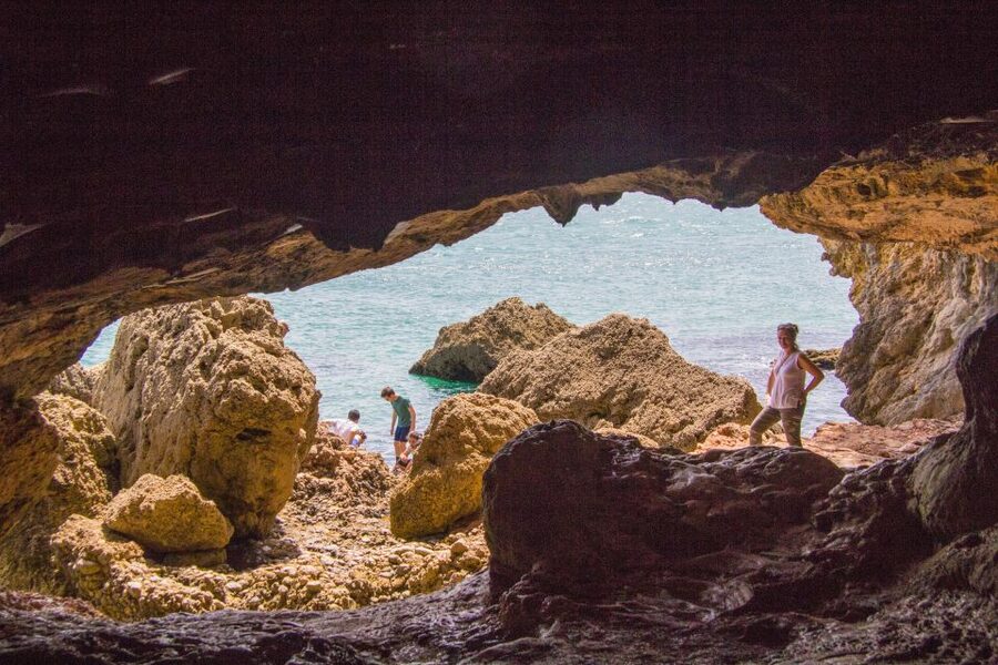 From Lisbon: Arrábida Day Tour & Wine Tasting - Why this Setúbal day trip works so well
