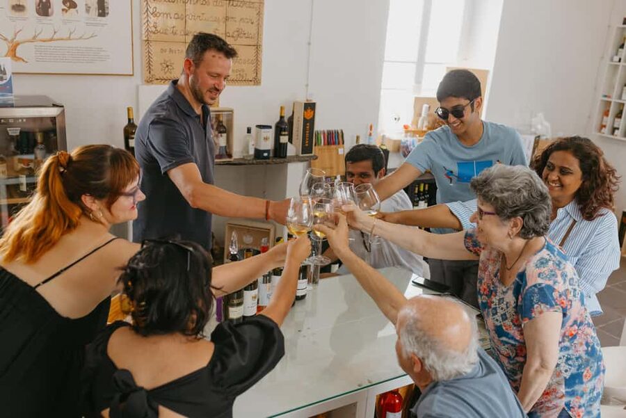 From Lisbon: Évora and Monsaraz Day Tour with Wine Tasting - Who should book this tour