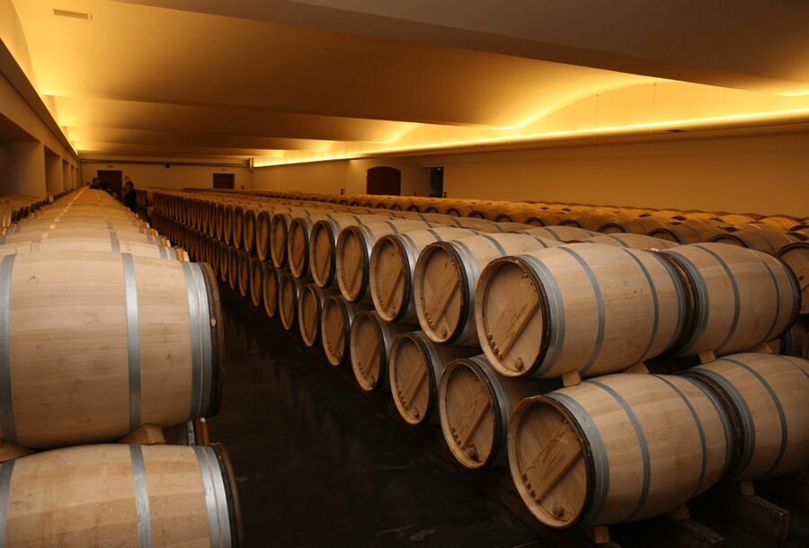 From Lisbon: Évora + Chapel of Bones + Monsaraz + Alentejo Wines - The Roman Temple and Évora’s old center