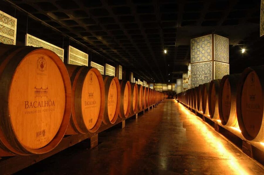 From Lisbon: Serra da Arrábida, Sesimbra, and Setúbal Wines - Key points at a glance