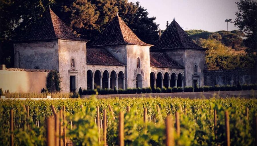 From Lisbon: Serra da Arrábida, Sesimbra, and Setúbal Wines - Why this Setúbal day trip works from Lisbon