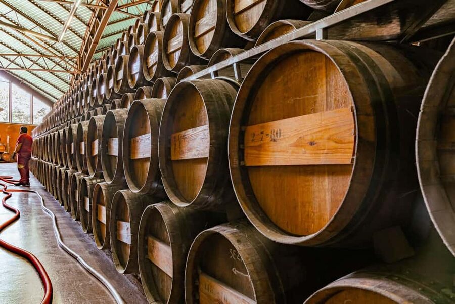 From Lisbon: Serra da Arrábida, Sesimbra, and Setúbal Wines - Finishing at Cristo Rei