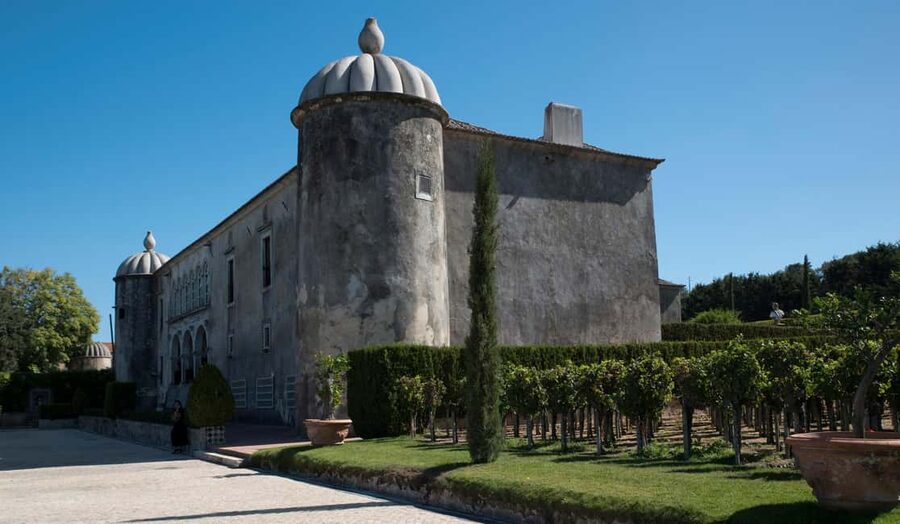 From Lisbon: Serra da Arrábida, Sesimbra, and Setúbal Wines - Guides, transport, and the pace of the day
