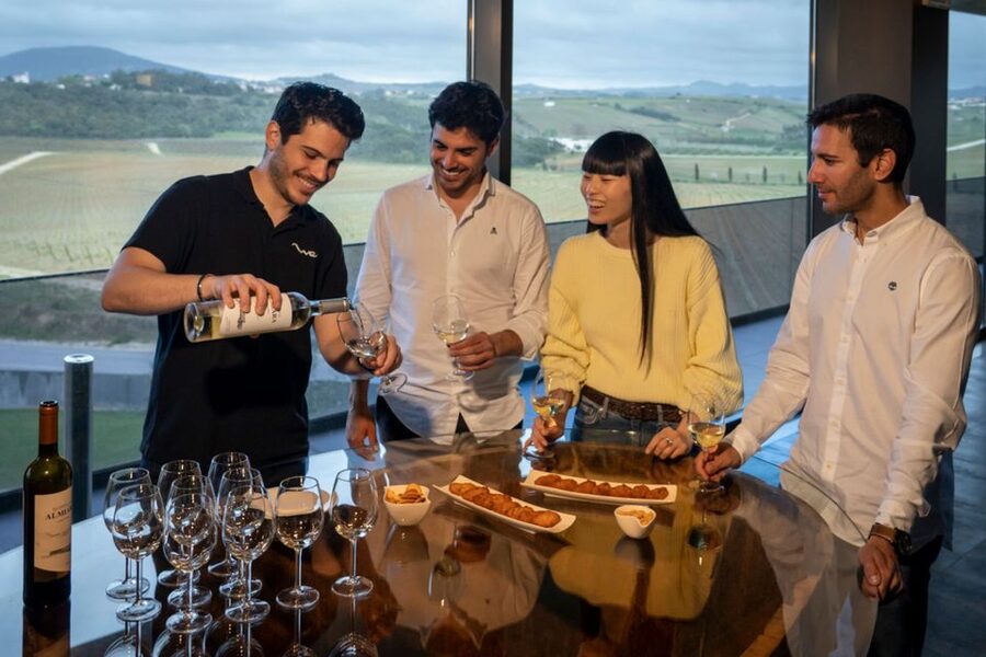 From Lisbon: Sintra & Pena Palace Day Trip with Wine Tasting - Six wines and a table of Portuguese bites